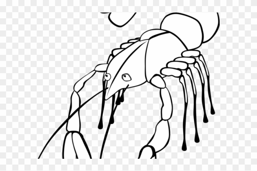 Lobster Clipart Line Drawing - Crawfish Clip Art - Png Download #3889017