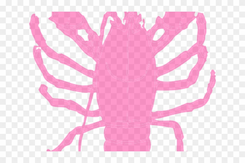 Lobster Clipart Pink - Crawfish Clipart Transparent Background - Png Download