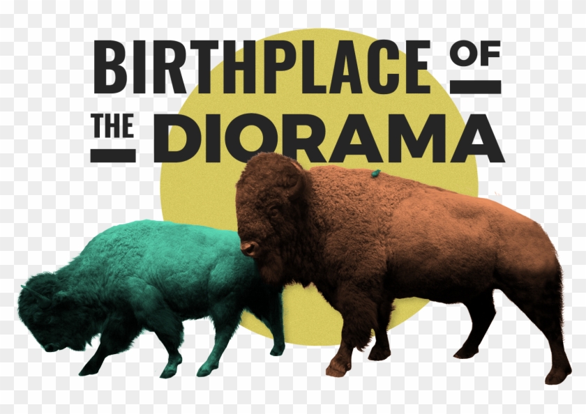 Walker's Point - American Museum Of Natural History Clipart