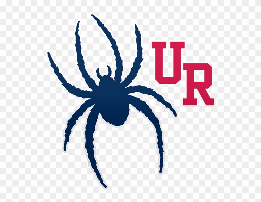 Tsf Madness All-stars Have Attended These Colleges - University Of Richmond Spider Clipart