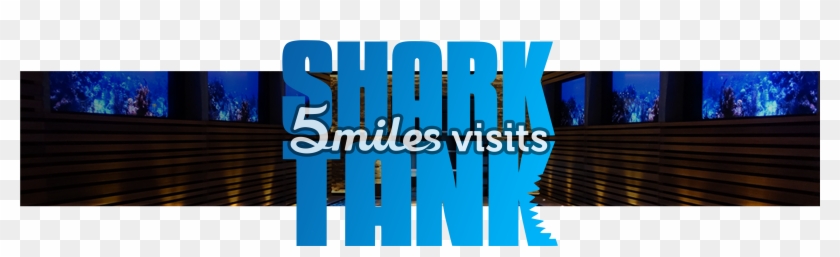 Members Of The 5miles Team Join The Set Of Shark Tank - Graphic Design Clipart