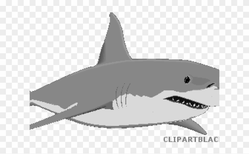 Shark Clip Art - Png Download #3890785