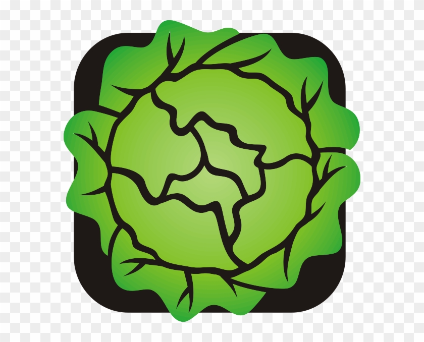 Lettuce Clipart - Lettuce Clip Art - Png Download