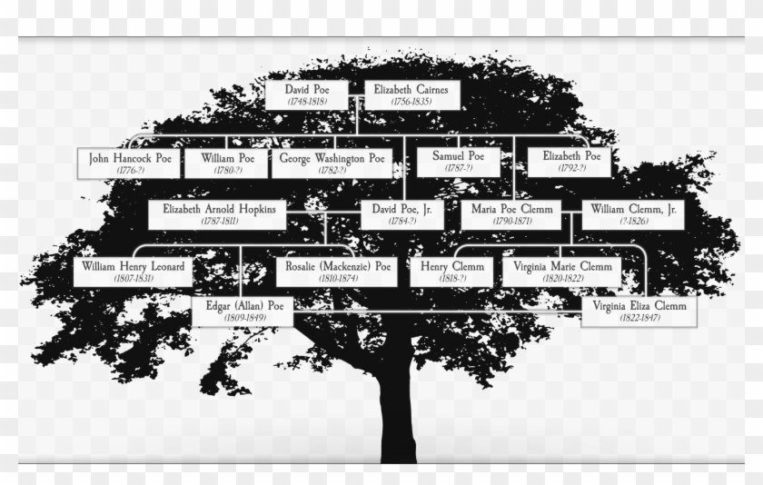 Poe's Family Tree - Poe's Family Clipart #3891439