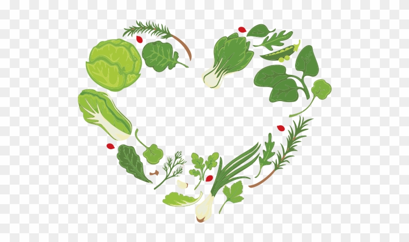 Lettuce Clipart Lettuce Plant - Ensaladas Vector - Png Download #3891514