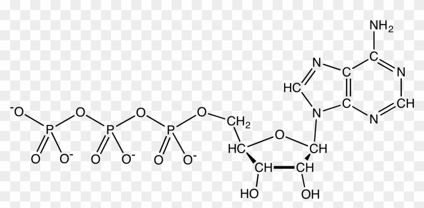 File - Atpanionchemdraw - Adenosine Triphosphate Clipart