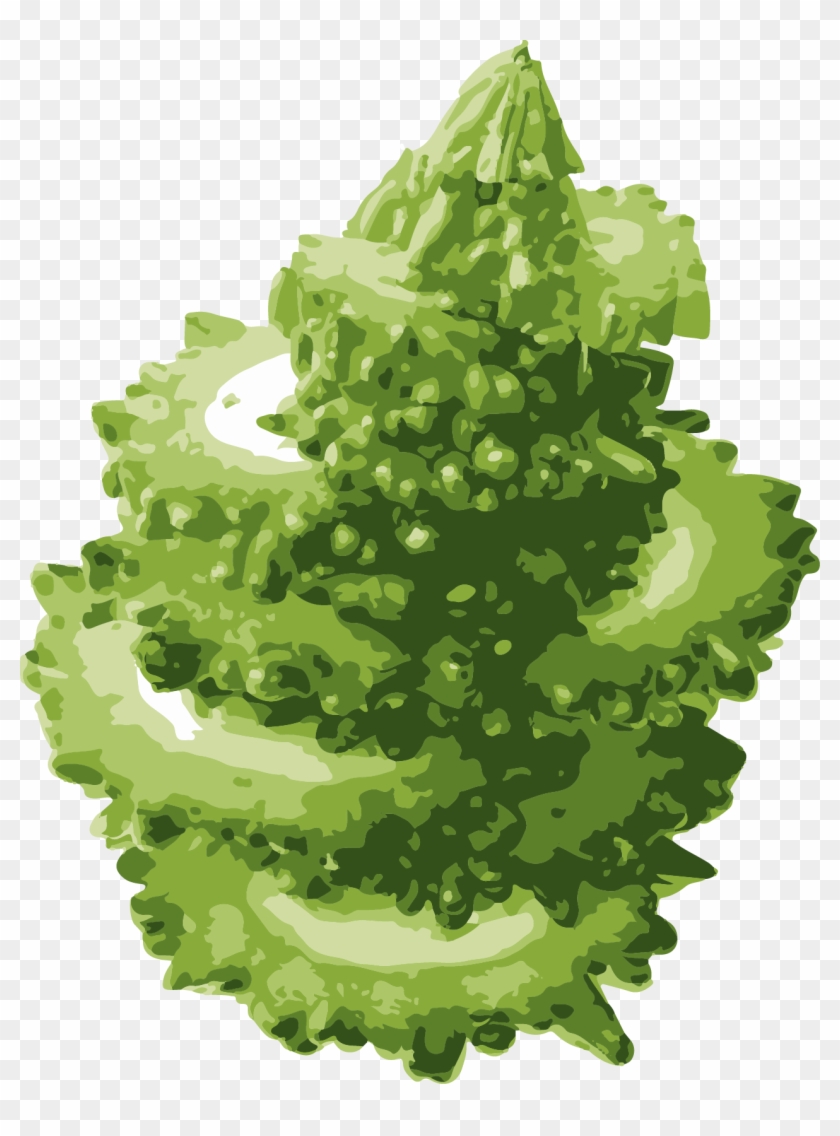 Lettuce Clipart Sliced - Christmas Tree - Png Download #3891527