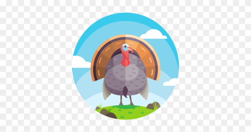 Beautiful Turkey Vector - Illustration Clipart