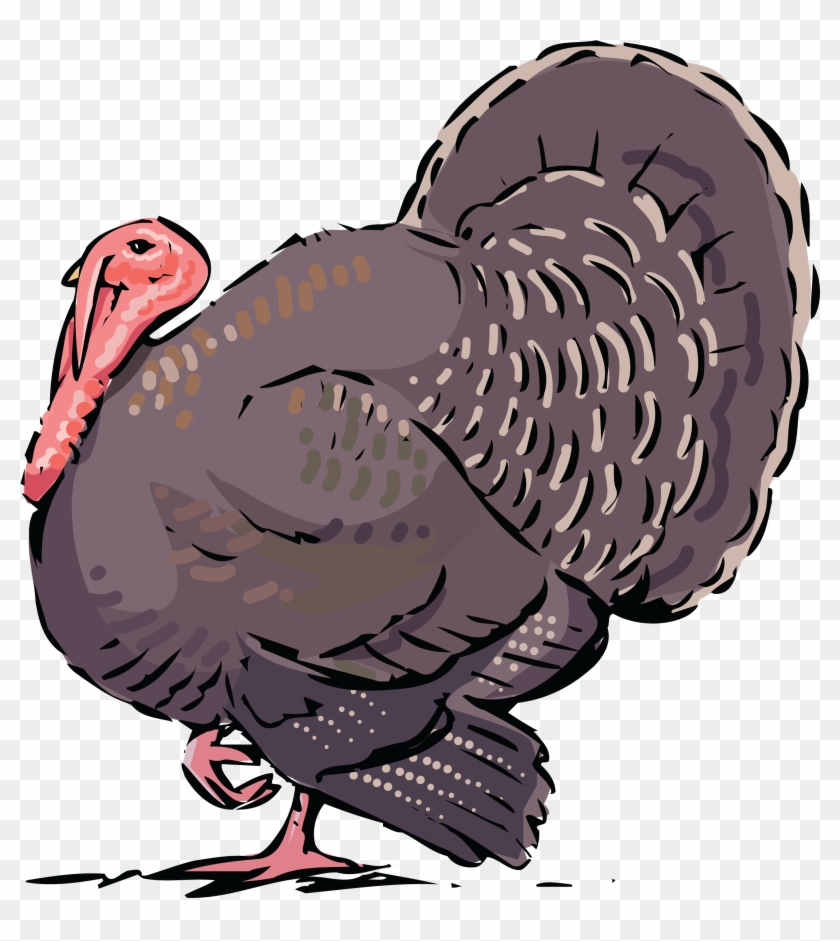 Free Clipart Of A Turkey Bird - Thanksgiving - Png Download #3891725