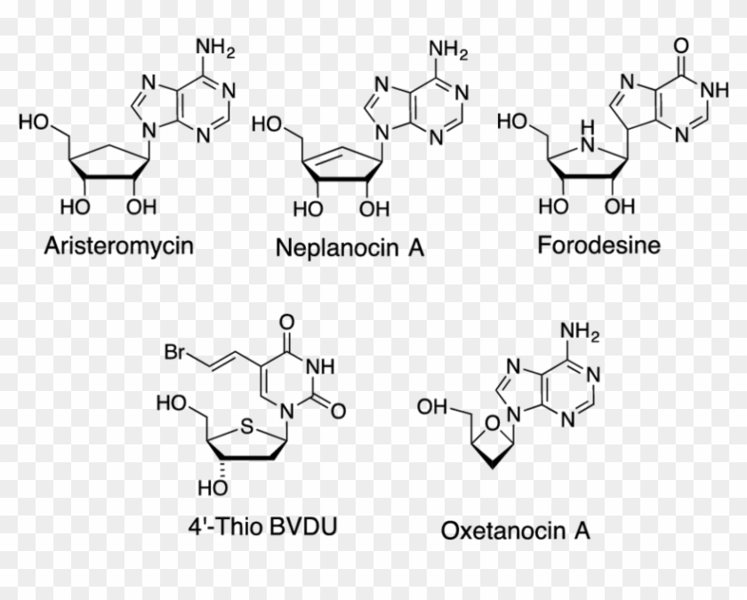 Examples Of Therapeutically Active Nucleoside Analogs - Ctp Neu5ac Nmcss Clipart #3891911