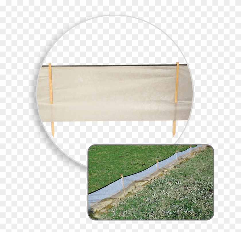 Bsrf Priority - Grass Clipart #3892729