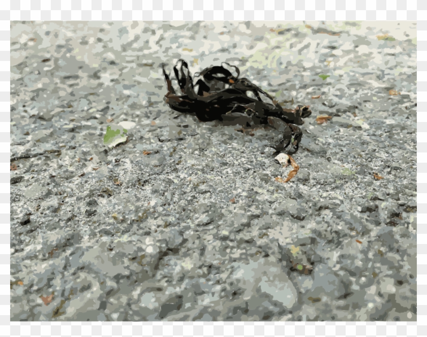 Insect Animal Source Foods Wolf Spider Clipart #3893159