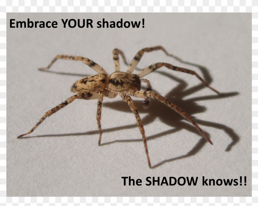 More Information - Nihal Clipart #3893700