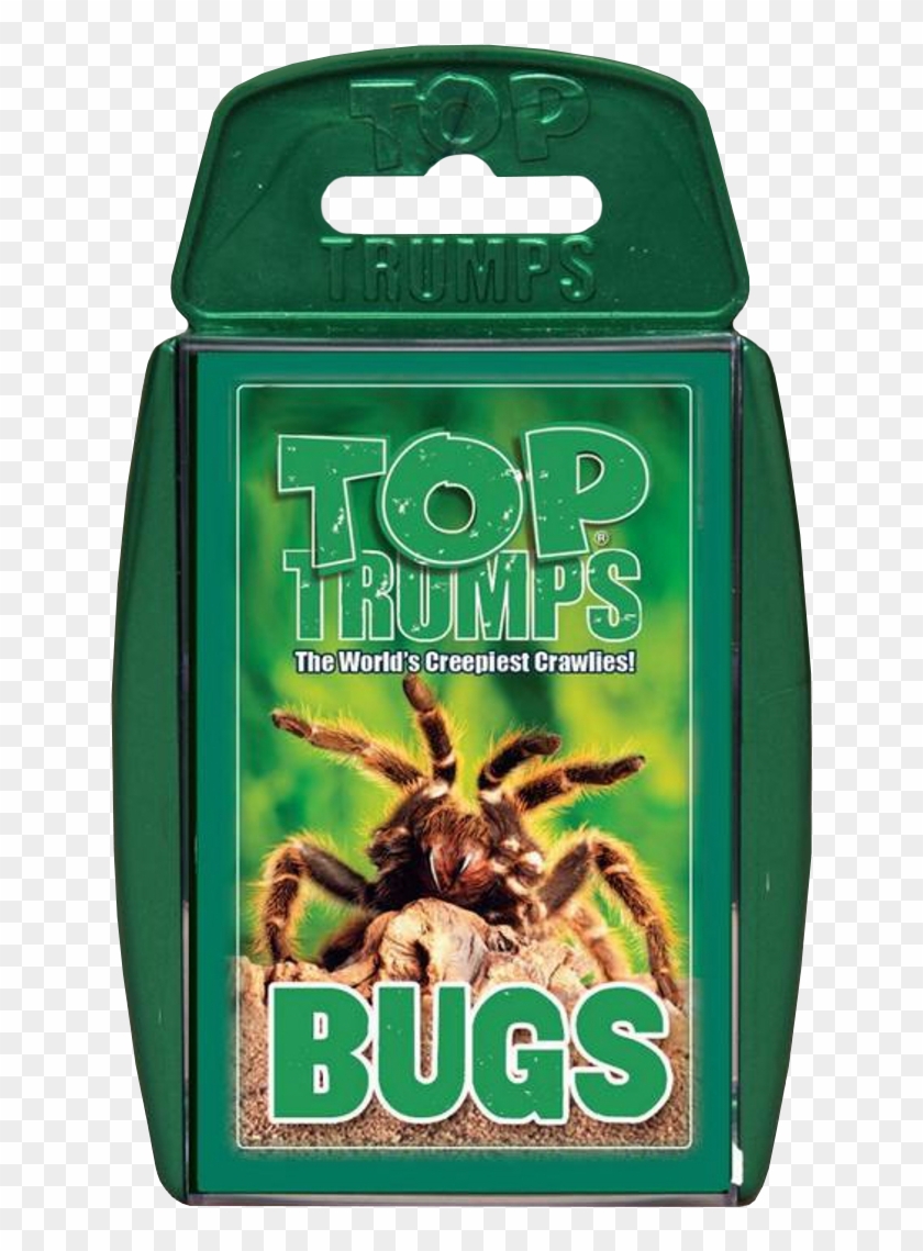 Top - Top Trumps Bugs Clipart #3894320