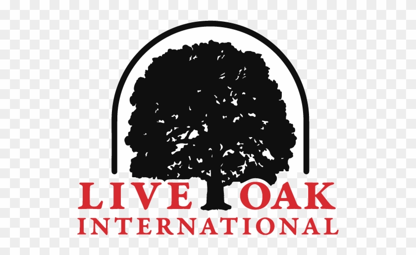 Live Oak International A 2016 Rio Olympics Qualifier - Live Oak International Logo Clipart #3895378