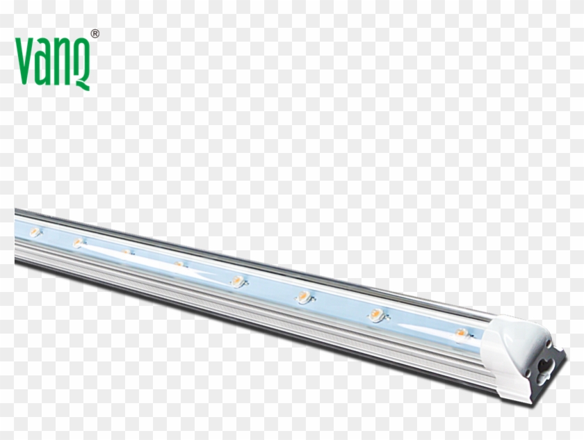 Full Spectrum,custom Color White Color,hydroponics - High-speed Rail Clipart #3895638