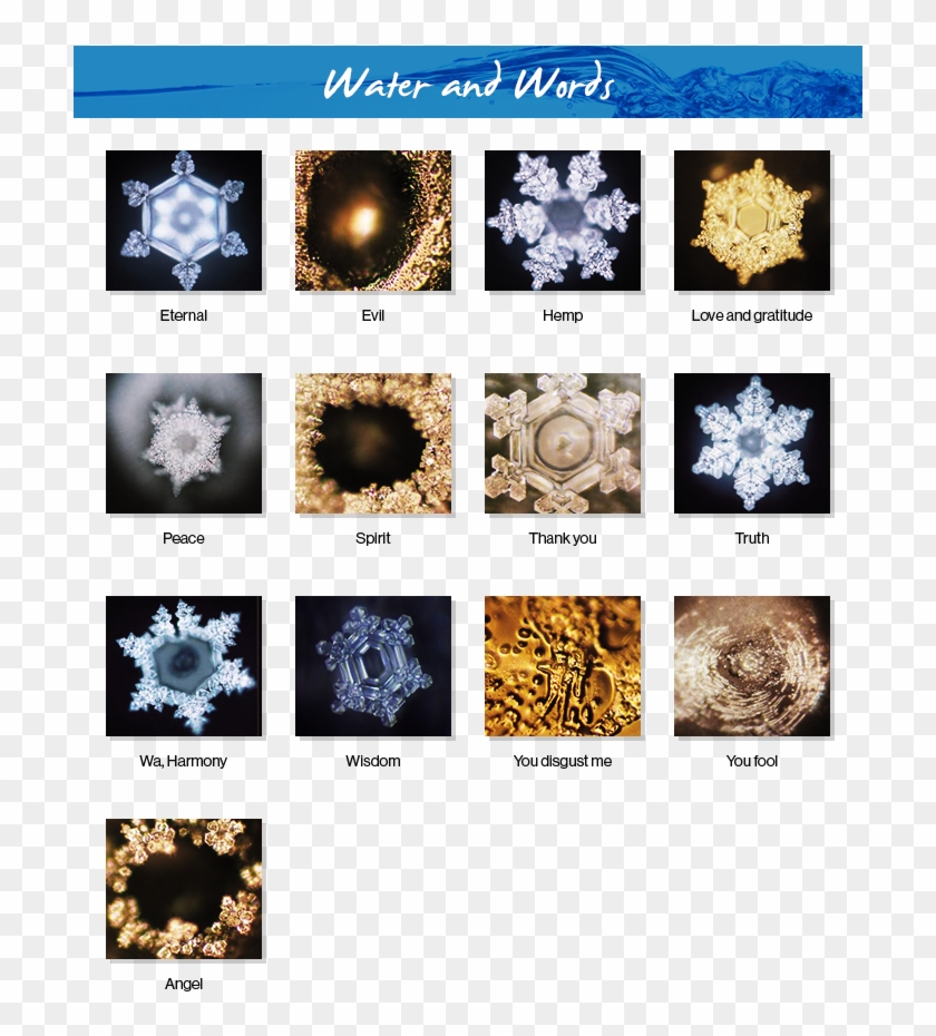 Effects Of Words On Water - Effect Of Words On Water Clipart #3897713