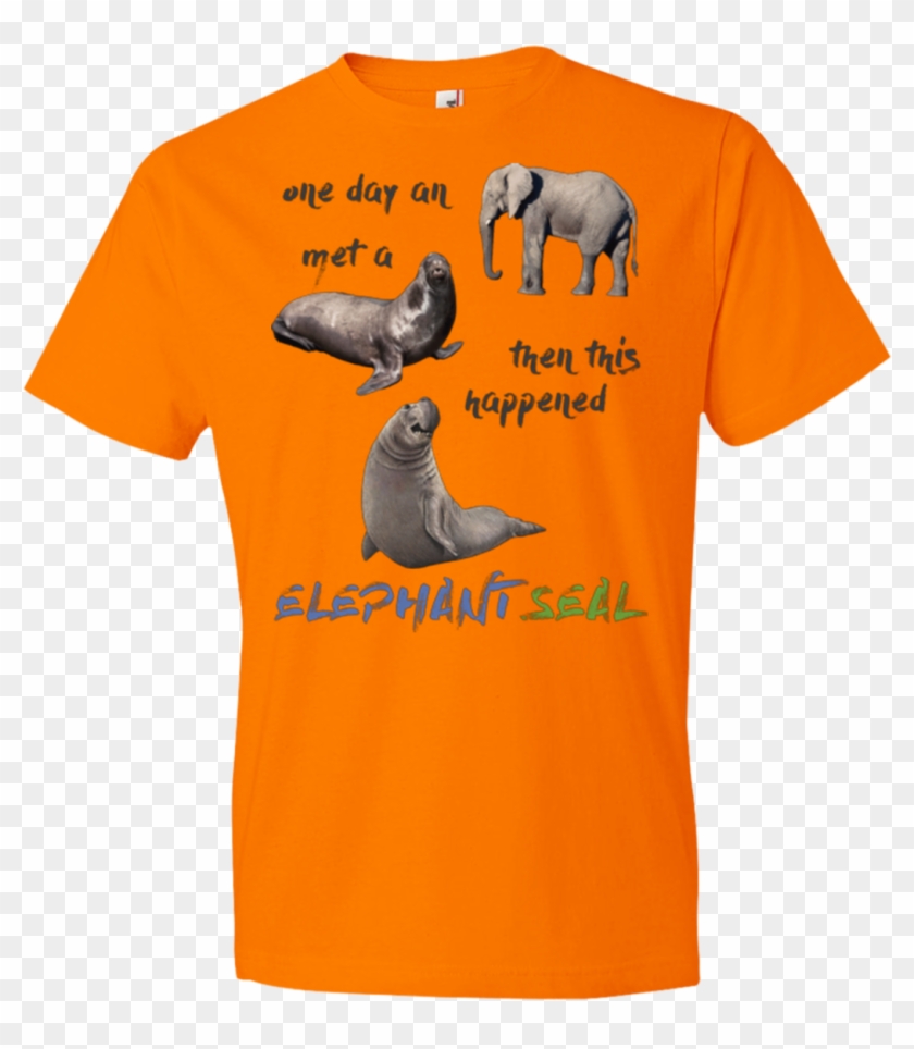 Funny Elephant Seals - T-shirt Clipart #3898072