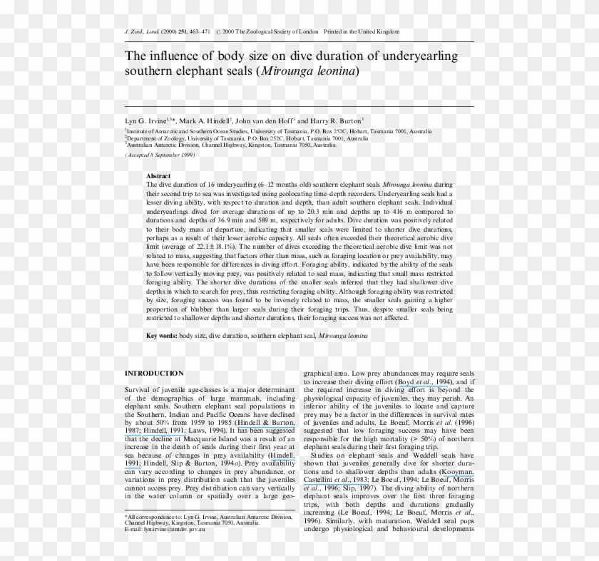 Pdf - "dance Is An Absolute" Clipart #3898583