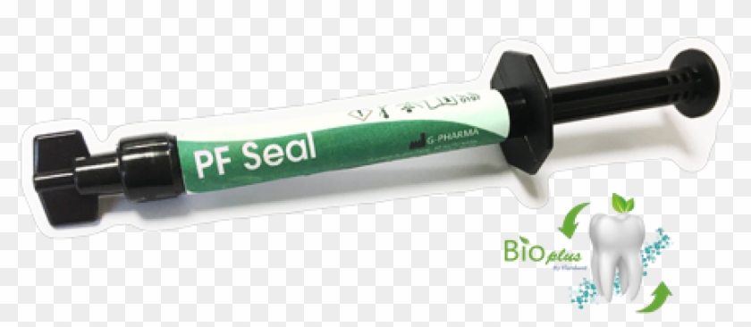 Asian Elephant Clipart