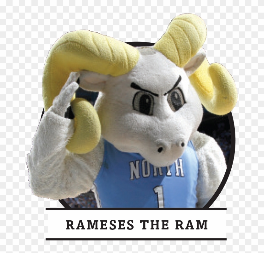 Mascots Entirely Unrelated To Their Team Nickname - Stuffed Toy Clipart