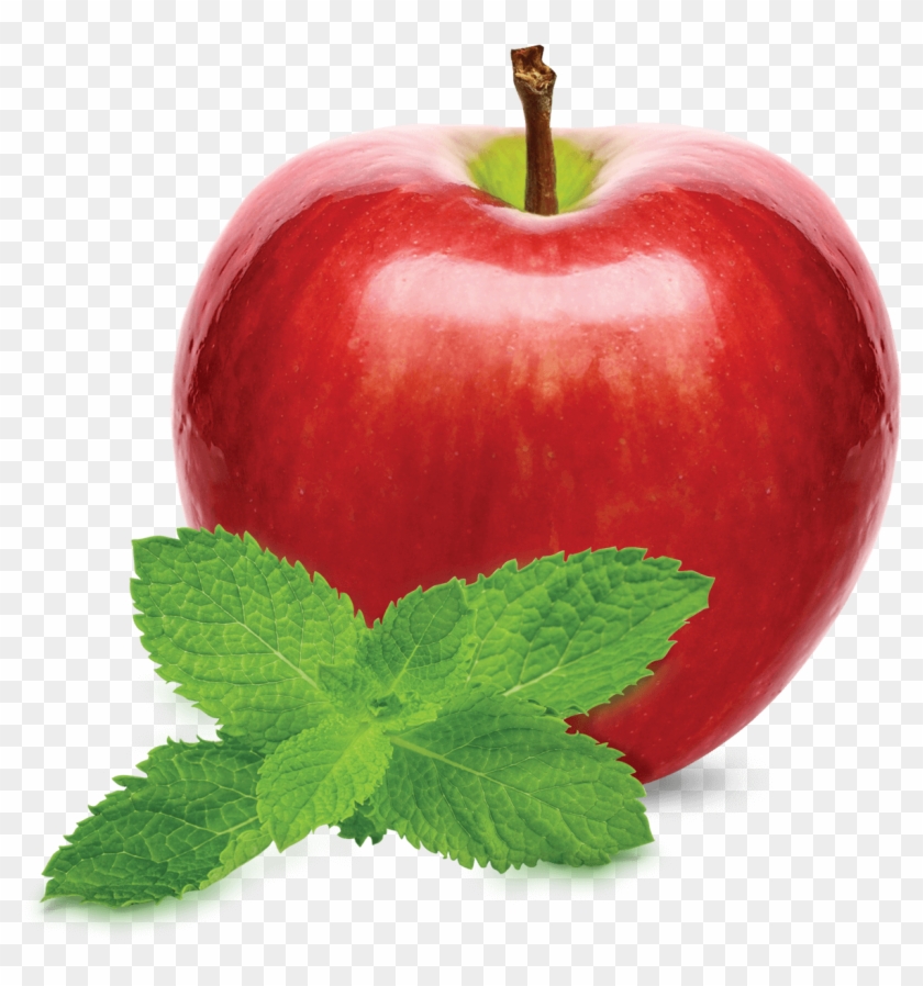 Apple Mint - Flavor Clipart