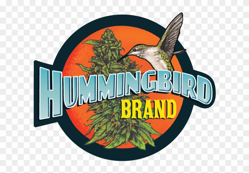 Hummingbird Craft Cannabis Oil - Illustration Clipart