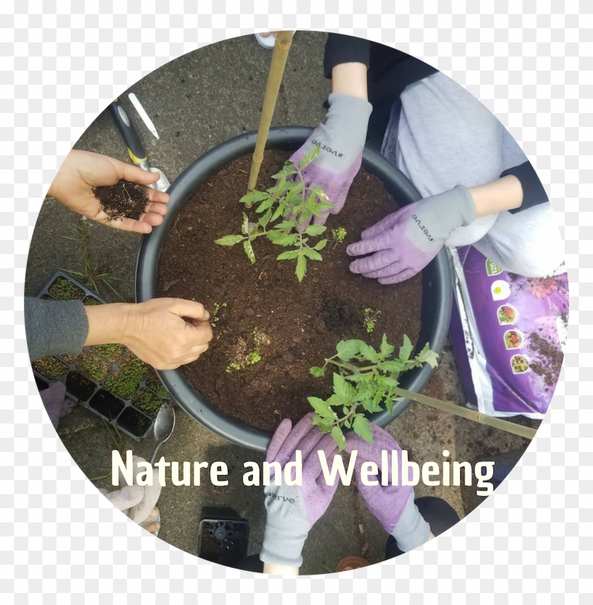 4 - Mulch Clipart #391229