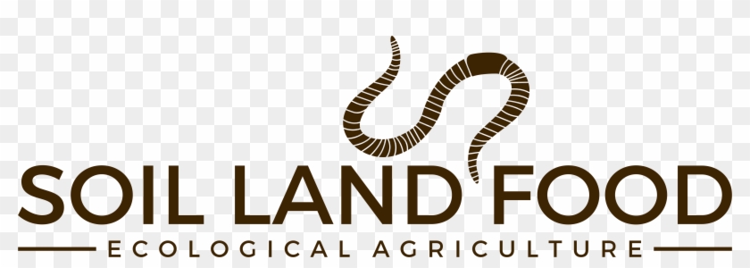 Illustration Clipart