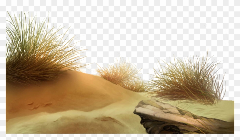 Beach Download Png - Hd Desert Background For Picsart Clipart