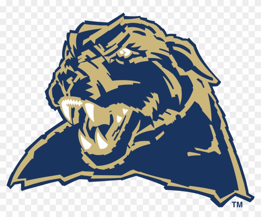 What Exactly Do Engineers Do - University Of Pittsburgh Panthers Clipart #392424