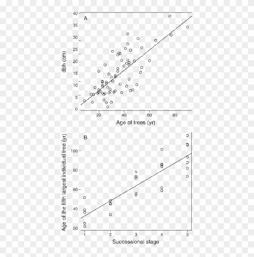 Diameter At Breast Height (dbh) As A Function Of Tree - Tree Age Classes Clipart