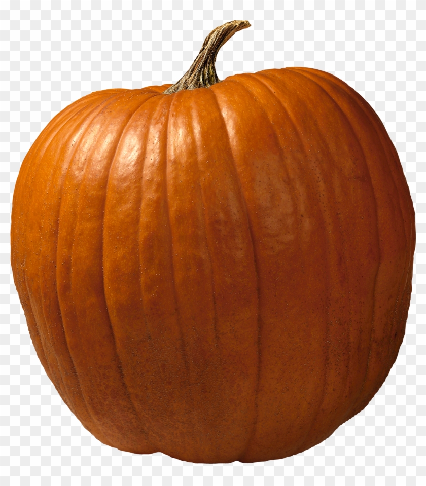 Pumpkin - Pumpkin Images Transparent Background Clipart