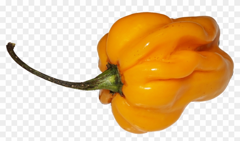 Yellow Chili - Habanero Chili Png Clipart