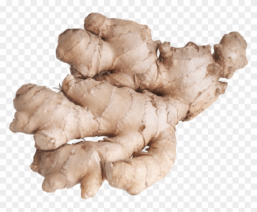 Free Png Ginger Root Png Images Transparent - Ginger Png Clipart #393692