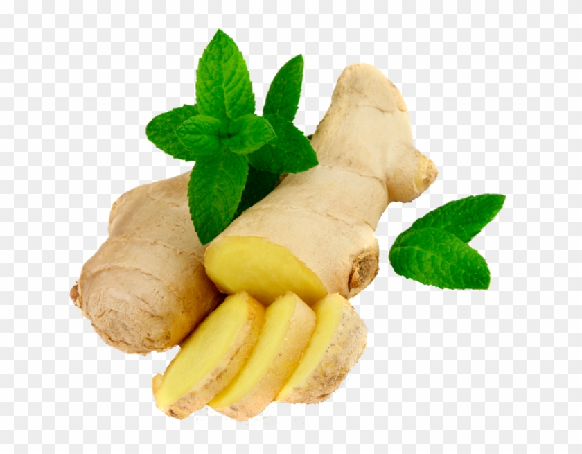 Ginger Png - Ginger Transparent Background Clipart #393730