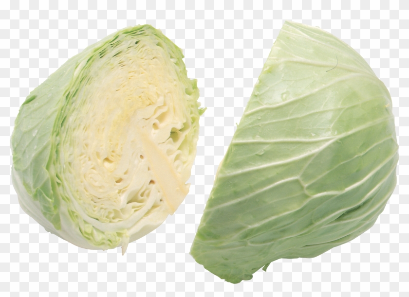 Cabbage Png Image - Cabbage Clipart #394380