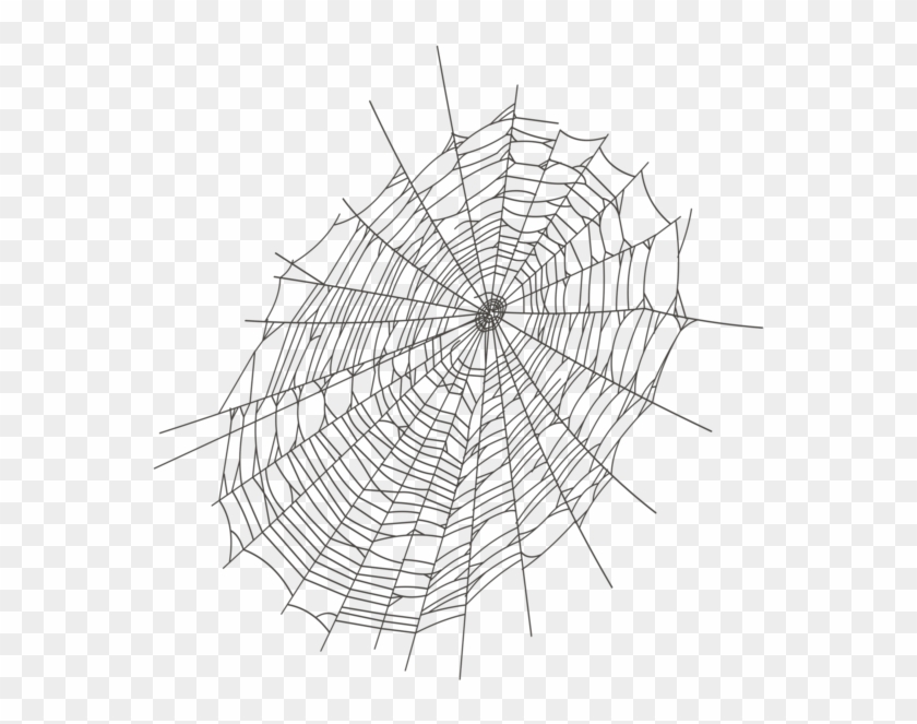 579 X 600 21 - Halloween Spider Web .png Clipart #394513
