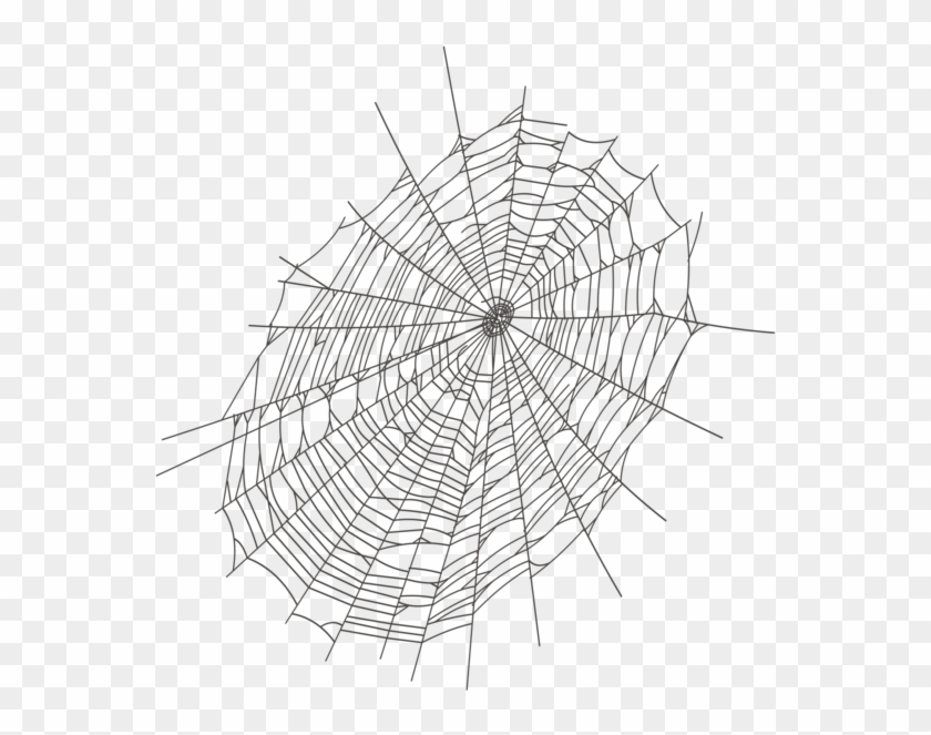 579 X 600 21 - Halloween Spider Web .png Clipart