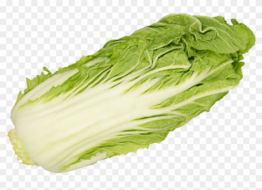 ‹ › - Romaine Lettuce Clipart #394668