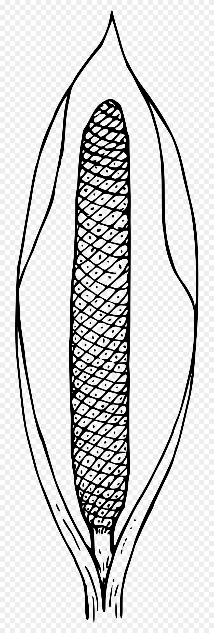 This Free Icons Png Design Of Skunk Cabbage Clipart