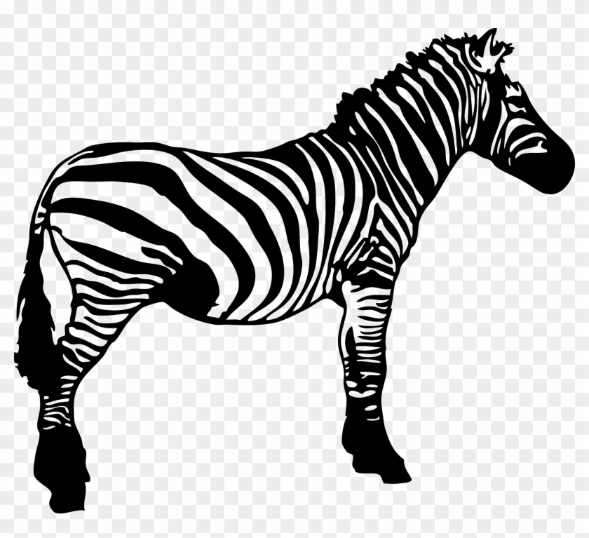 Graphic Black And White Download Stripe Clip Art Transprent - Clip Art Zebra Black And White - Png Download #396676
