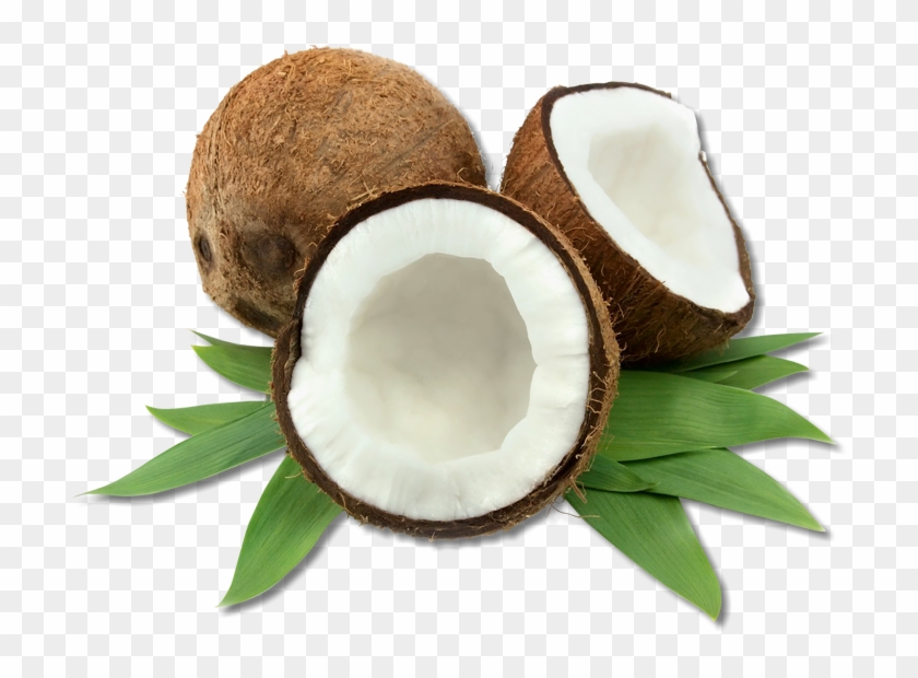 Coco-3 - Cocos Nucifera Coconut Oil Clipart
