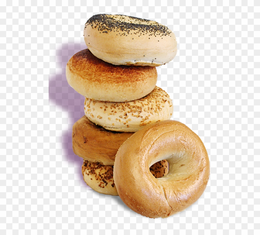 Bagel Factory Sarnia Clipart