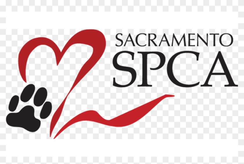 We Adopted Hugsy At The Free Adoption Event With Subaru - Love Clipart