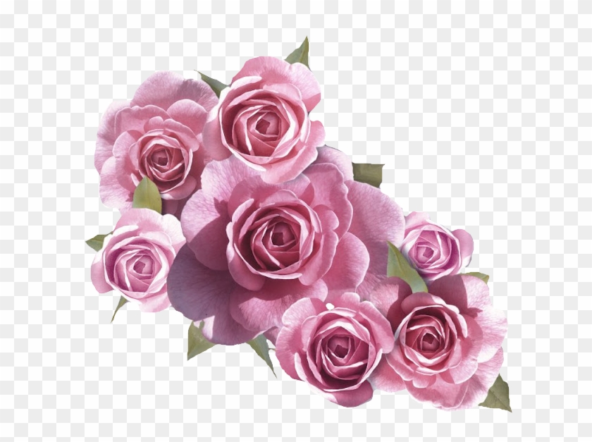 Mensagem De Aniversário Para Avó Clipart #399590