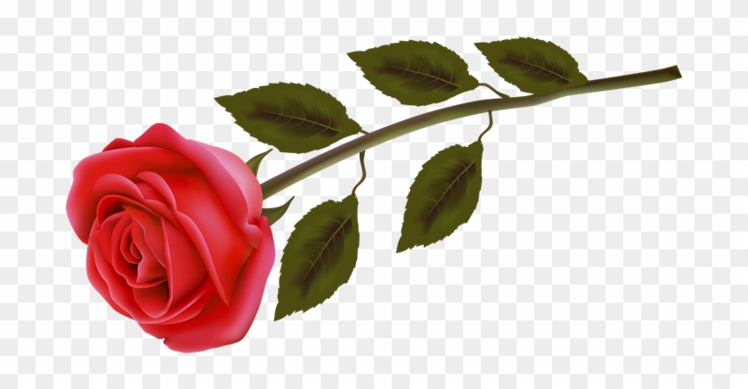 Rosas Png Para Photoshop - Rosas Rojas Para Photoshop Clipart #399744