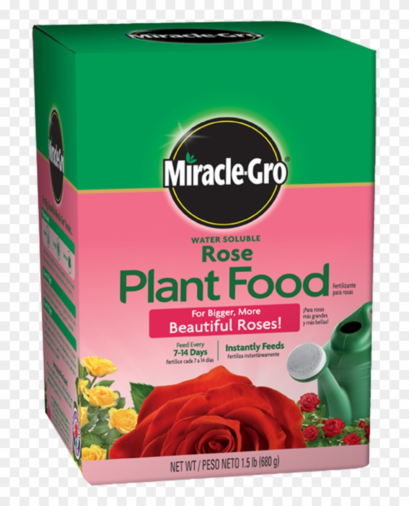 Fertilizante Para Rosas Soluble En Agua De Miracle - Miracle Gro Rose Food Clipart #399805