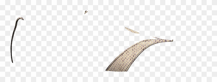 Fantasia-diamond Arena - Seabird Clipart #3900946