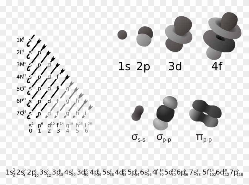 File - Electron Orbitals - Svg - Many Electrons Can S Shell Hold Clipart #3902342